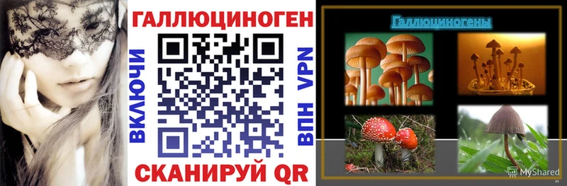 Галлюциногенные грибы GOLDEN TEACHER МЕГА Михайловск